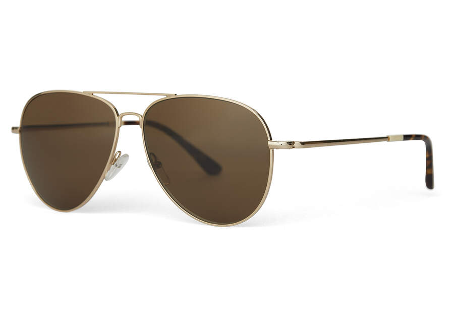 Óculos De Sol Toms Hudson Douradas Marrom | PT037-310