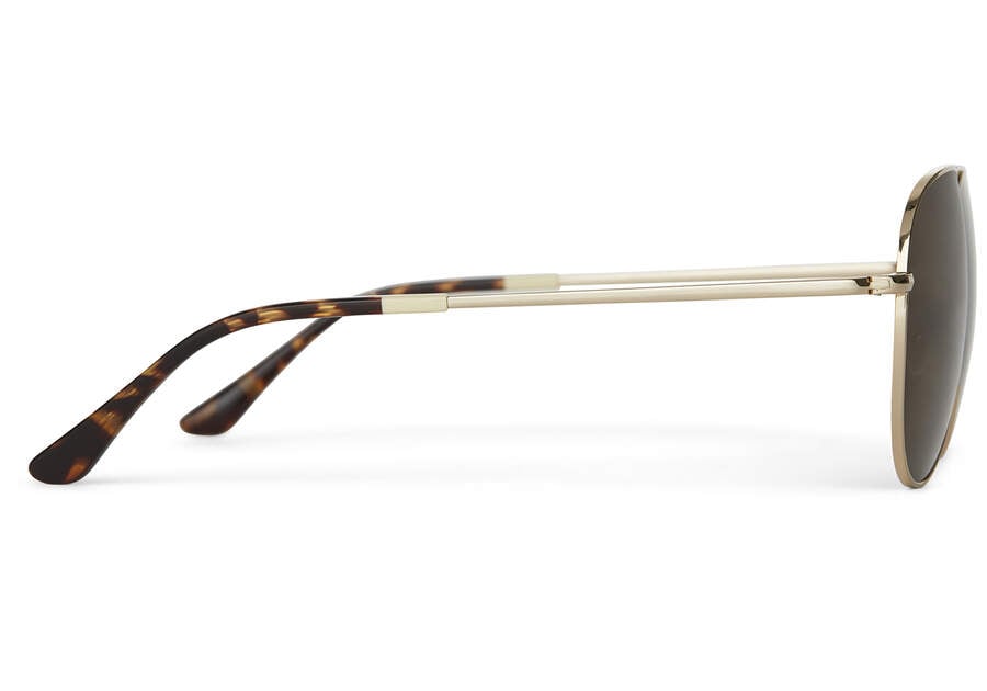 Óculos De Sol Toms Hudson Douradas Marrom | PT037-310