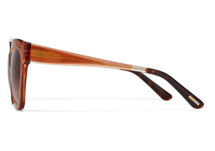 Óculos De Sol Toms Sloane Marrom | PT954-805